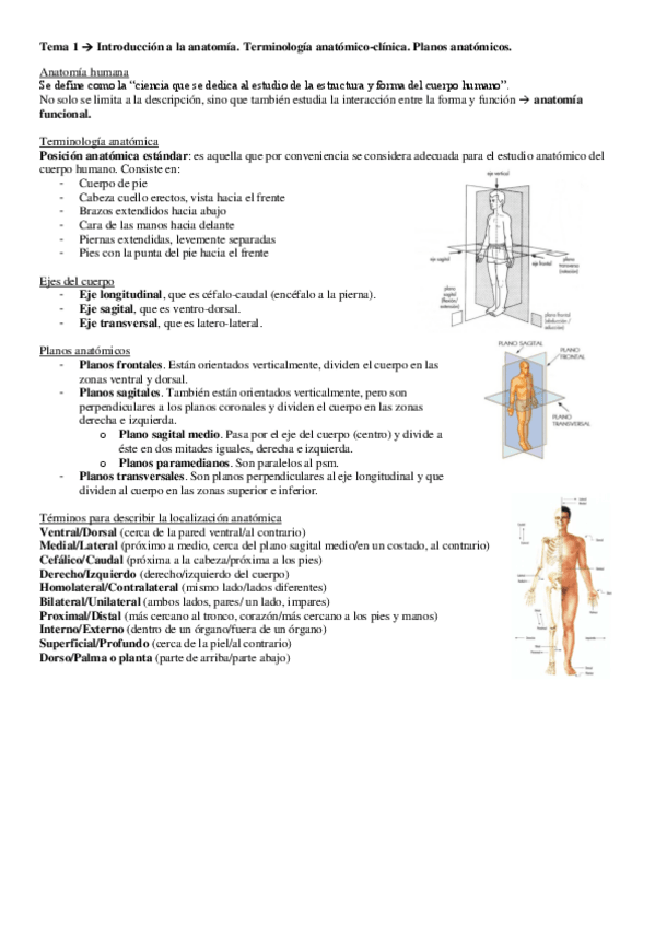 Miniatura del documento ANATOMIA-COMPLETO.pdf