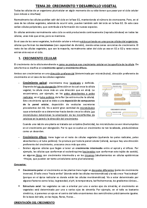 Miniatura del documento tema-20.pdf