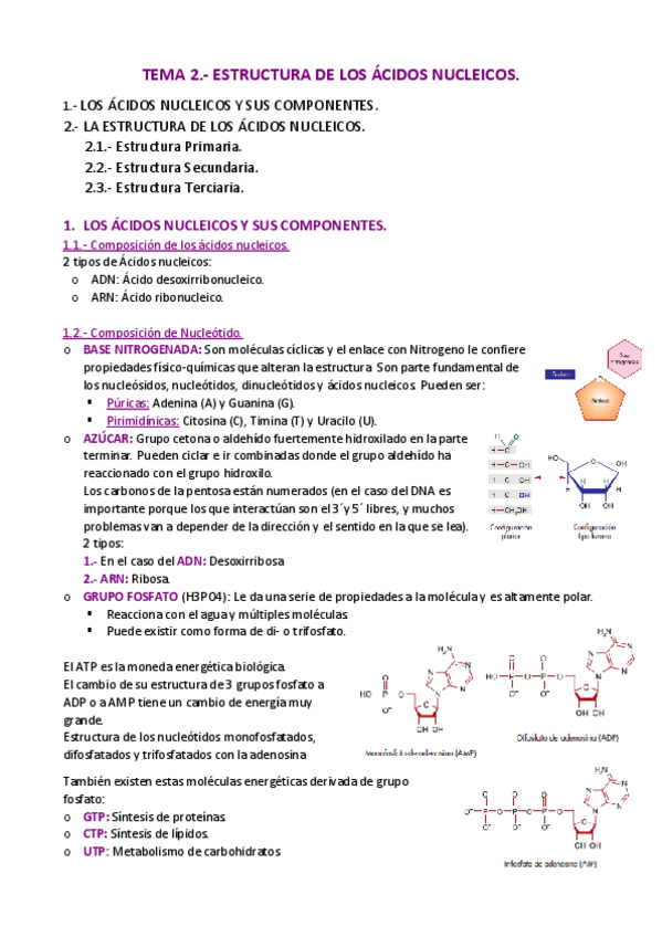 Miniatura del documento APUNTES-Tema-2.pdf