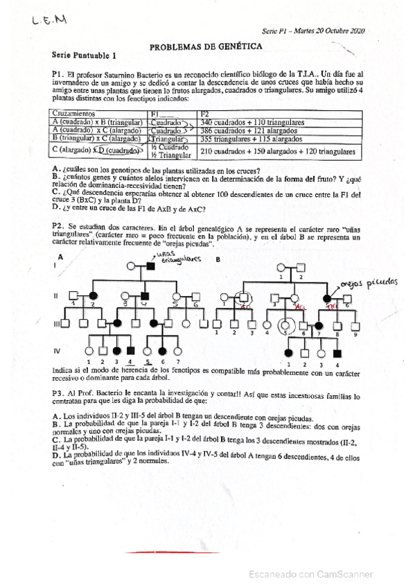 Miniatura del documento series-resueltas-desarrolladas-2021.pdf