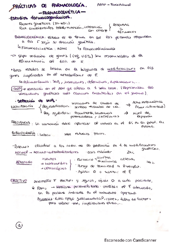 Miniatura del documento Practicas-Farma.pdf