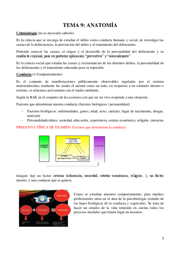 Miniatura del documento Anatomia.pdf