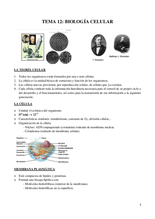 Miniatura del documento BIOLOGÍA CELULAR.pdf