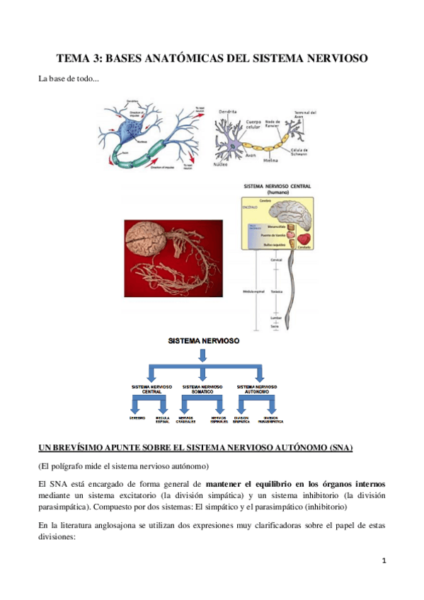 Miniatura del documento TEMA 3.pdf