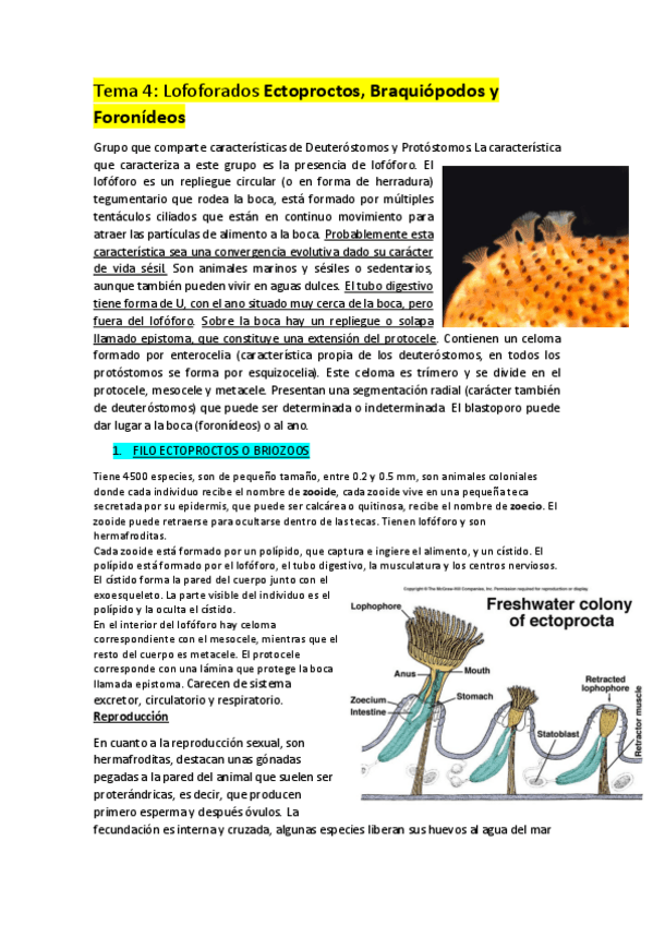 Miniatura del documento Tema-4.pdf