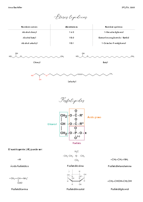 Miniatura del documento Formulacion-TAG-parte-2.pdf