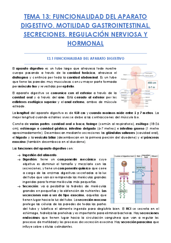 Miniatura del documento TEMA-13.pdf