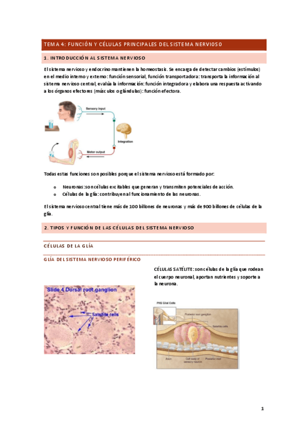Miniatura del documento T.pdf