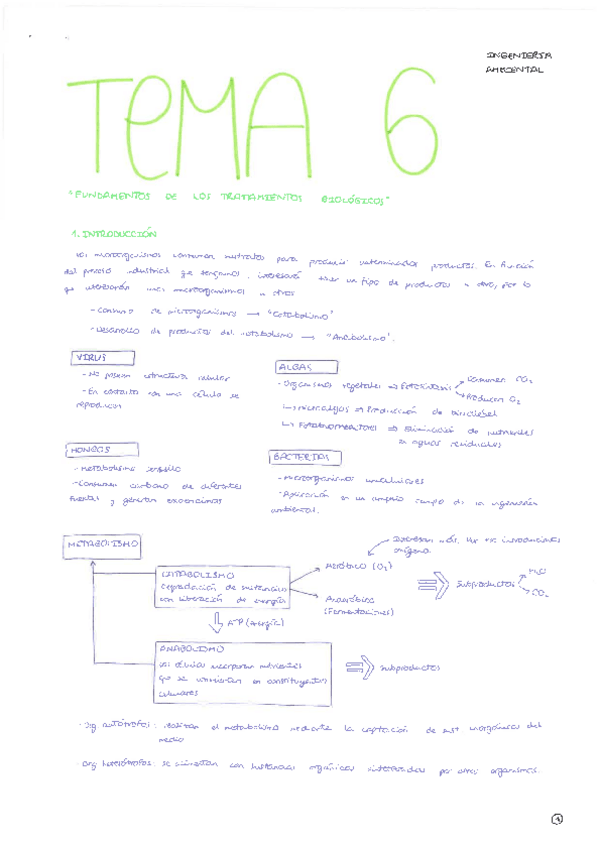 Miniatura del documento ING-AMB-Teoria-Tema-6.pdf