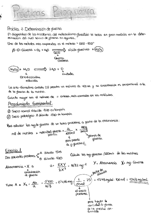 Miniatura del documento merged.pdf