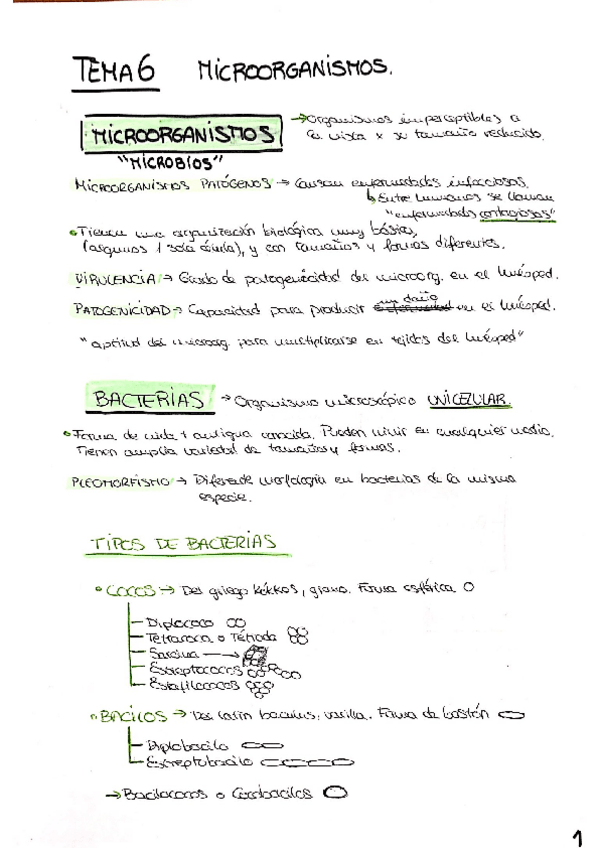 Miniatura del documento TEMA-6-Microorganismos-.pdf