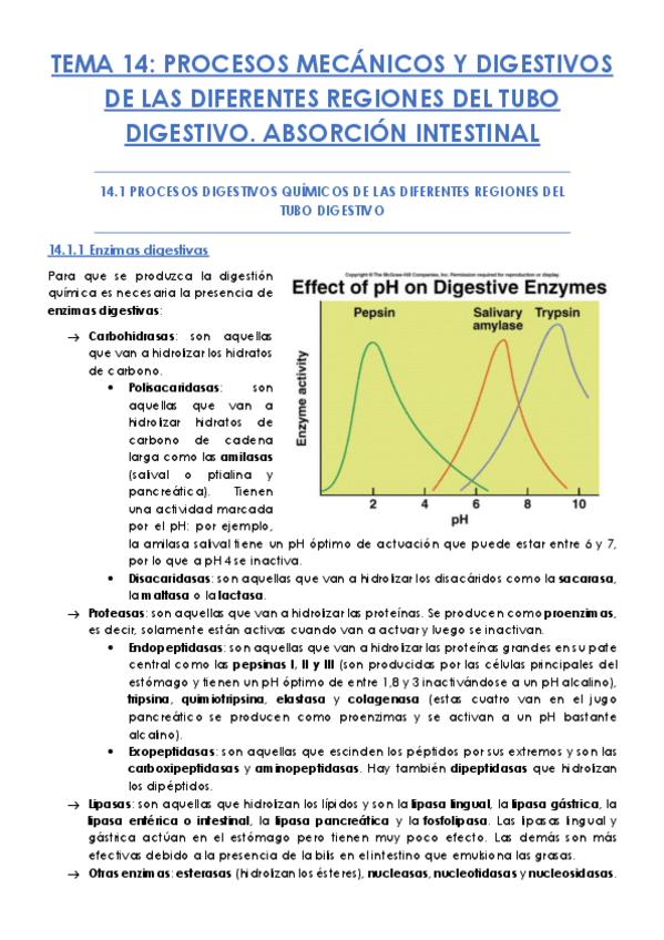 Miniatura del documento TEMA-14.pdf