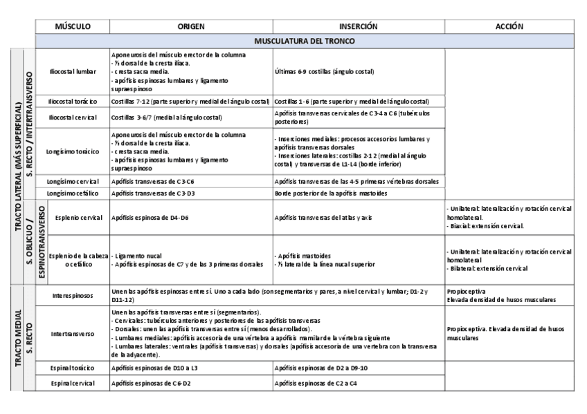 Miniatura del documento MC-ANATOMIA.pdf