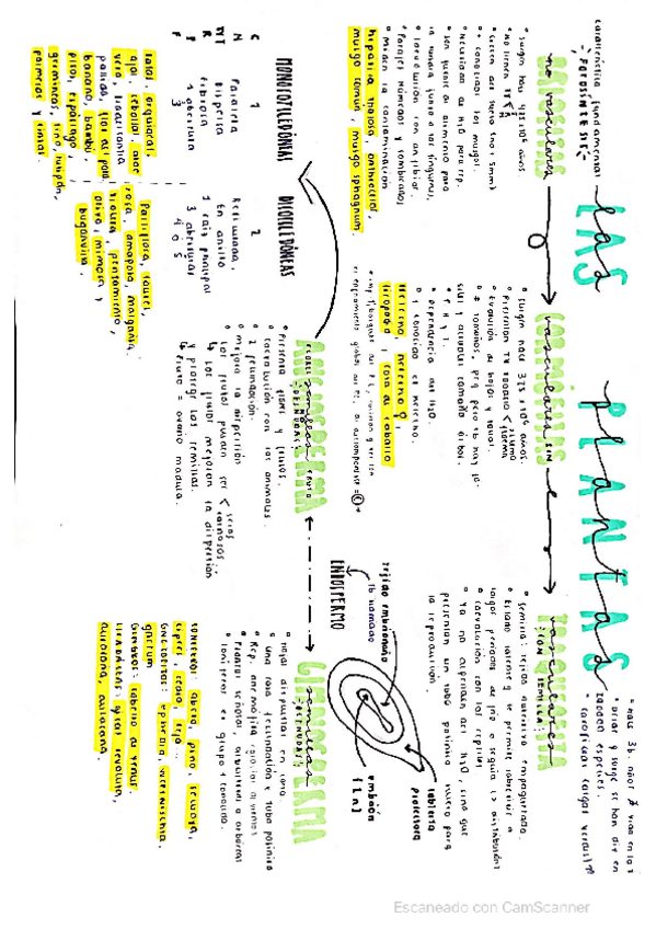 Miniatura del documento biologia.pdf