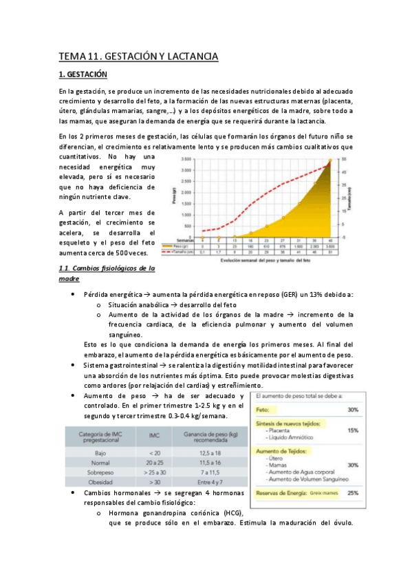 Miniatura del documento TEMA-11.pdf