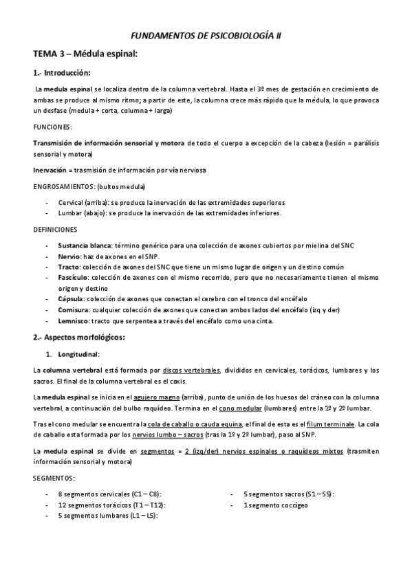 Miniatura del documento TEMA-3-Medula-espinal.pdf