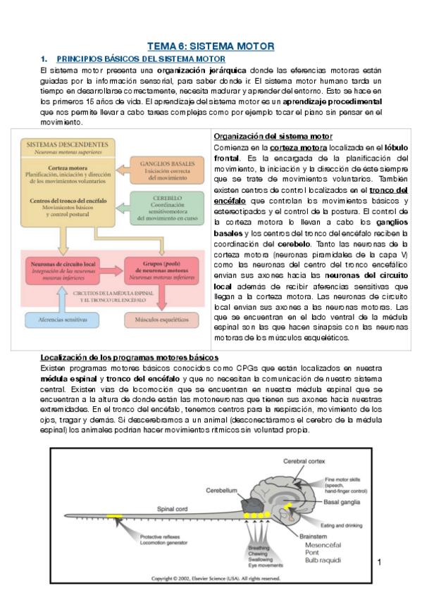 Miniatura del documento TEMA-6.pdf
