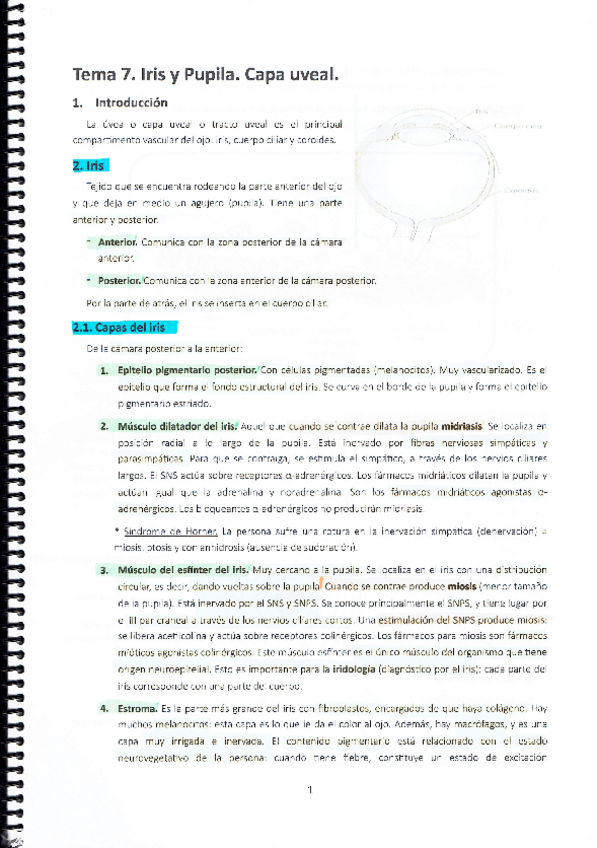 Miniatura del documento MT7. Iris y pupila. Capa uveal.pdf