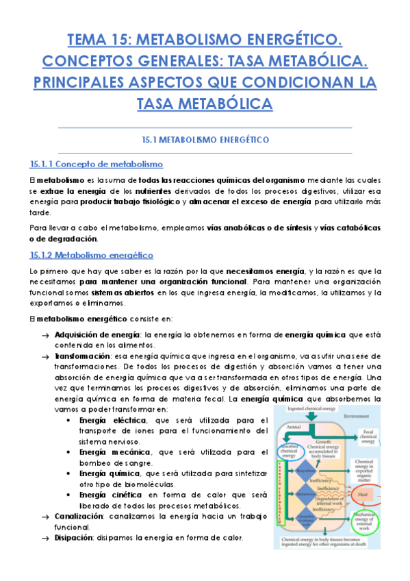 Miniatura del documento TEMA-15.pdf