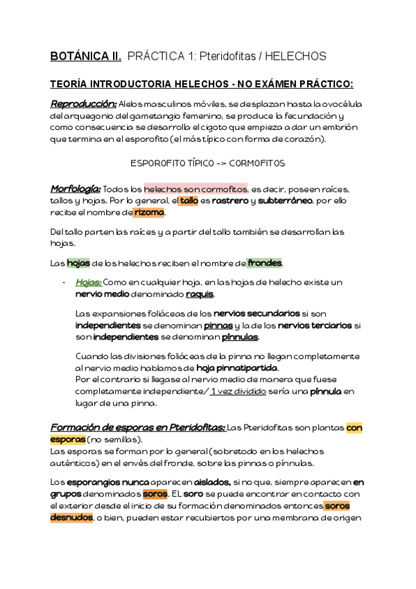 Miniatura del documento PRACT.pdf