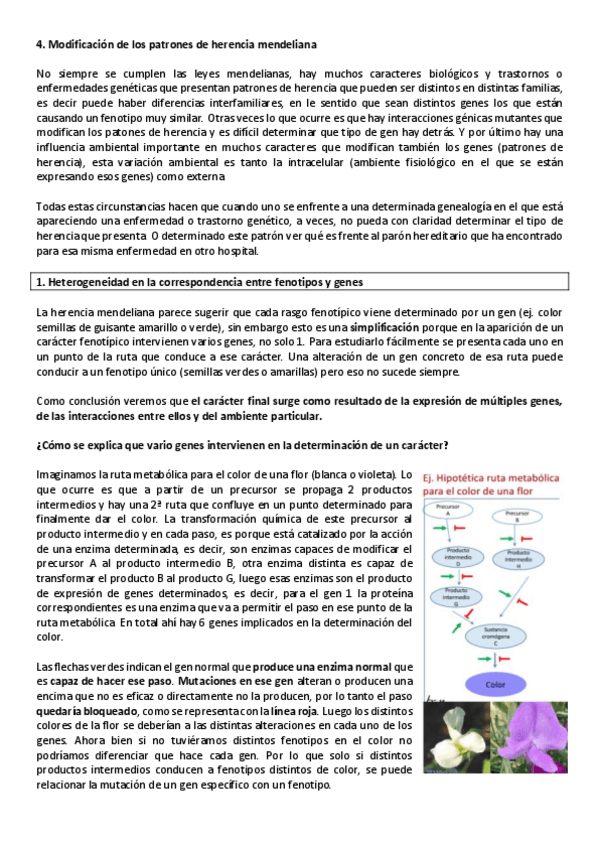 Miniatura del documento 4.pdf