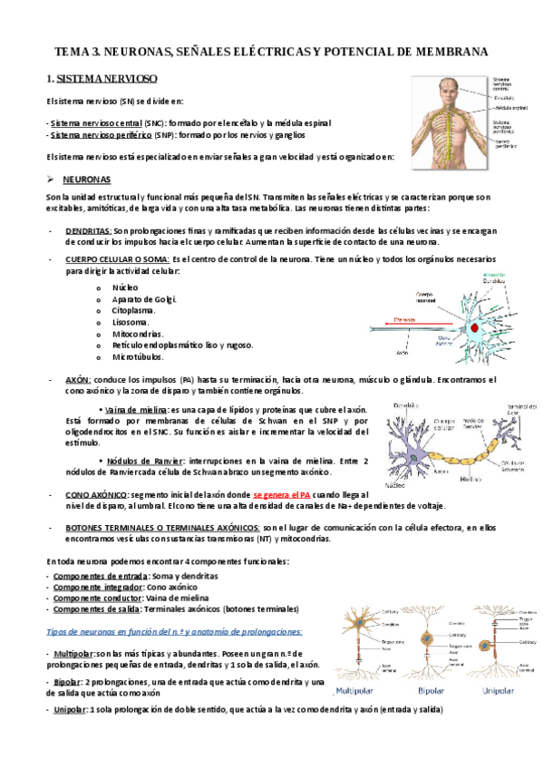 Miniatura del documento TEMA-3-Y-4.pdf