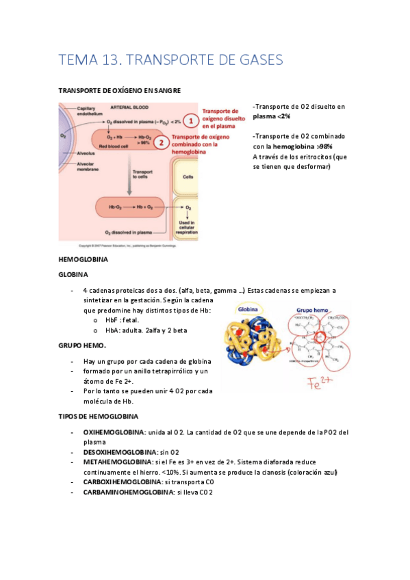 Miniatura del documento TEMA-13.pdf