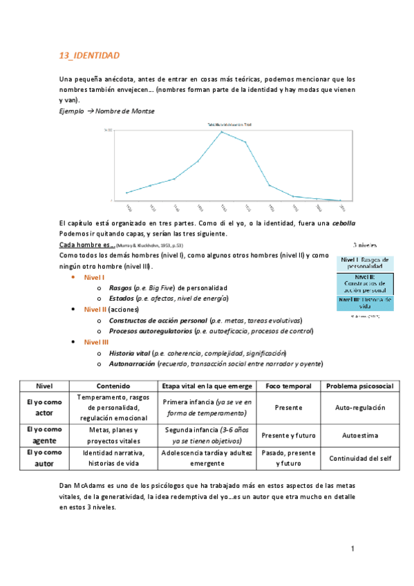 Miniatura del documento 13Identidad.pdf