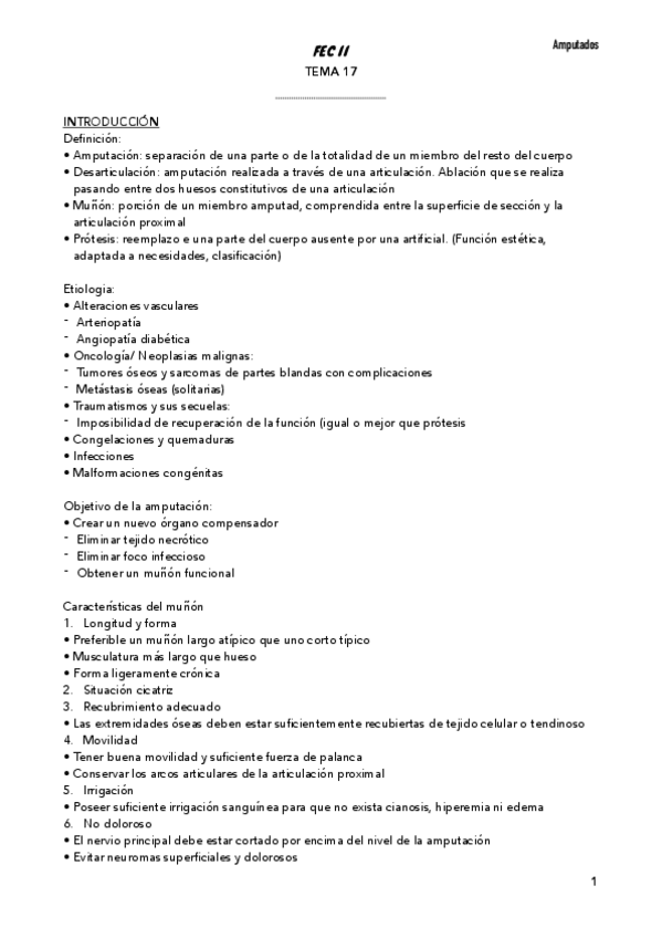 Miniatura del documento Amputados.pdf