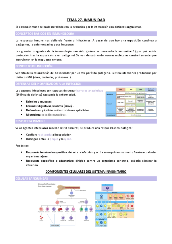 Miniatura del documento TEMA-27.pdf