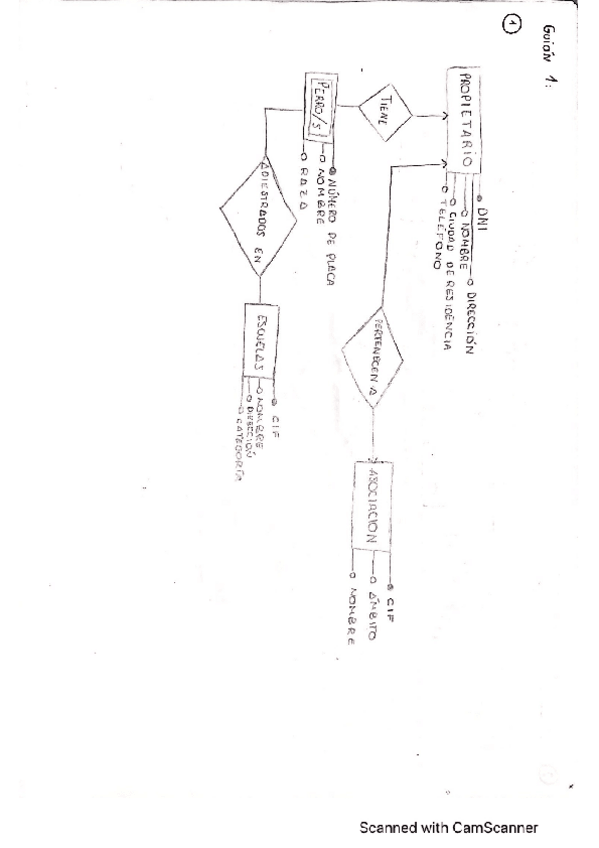 Miniatura del documento Guion1.pdf