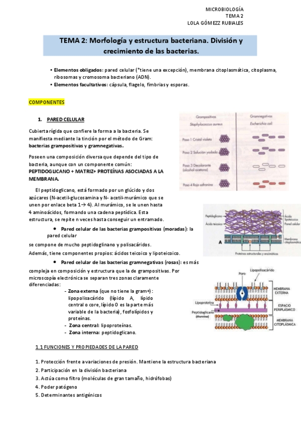 Miniatura del documento TEMA-2-micro.pdf