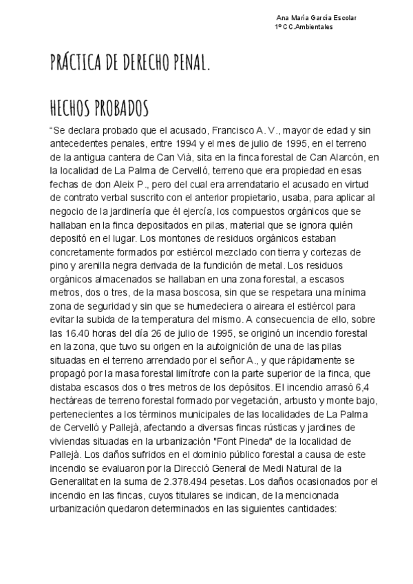 Miniatura del documento derecho-penal.pdf