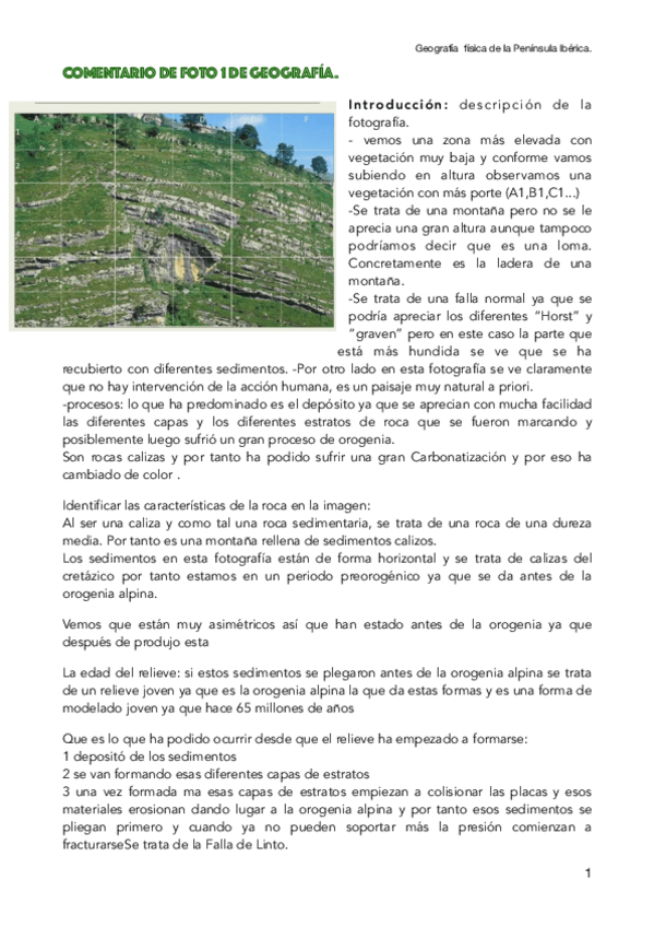 Miniatura del documento Comntario-Falla-de-Linto.pdf