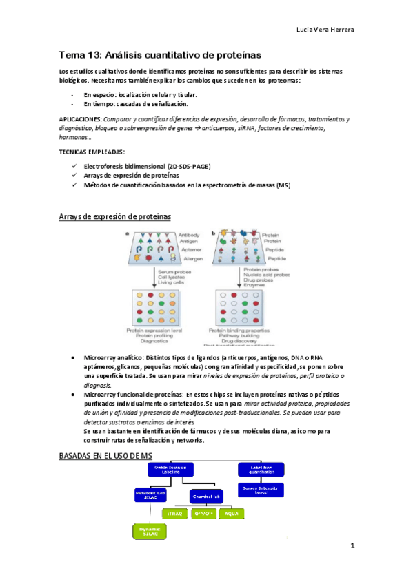 Miniatura del documento Tema 13. Análisis cuantitativo de proteínas.docx.pdf