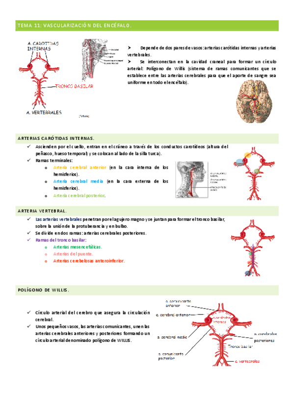 Miniatura del documento TEMA-11-12.pdf
