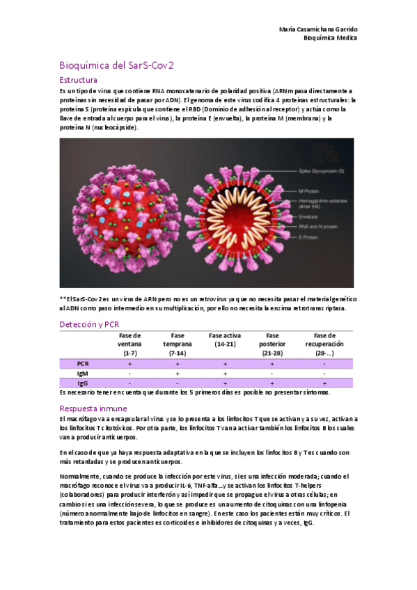 Miniatura del documento BIOQUIMICA-COVID.pdf