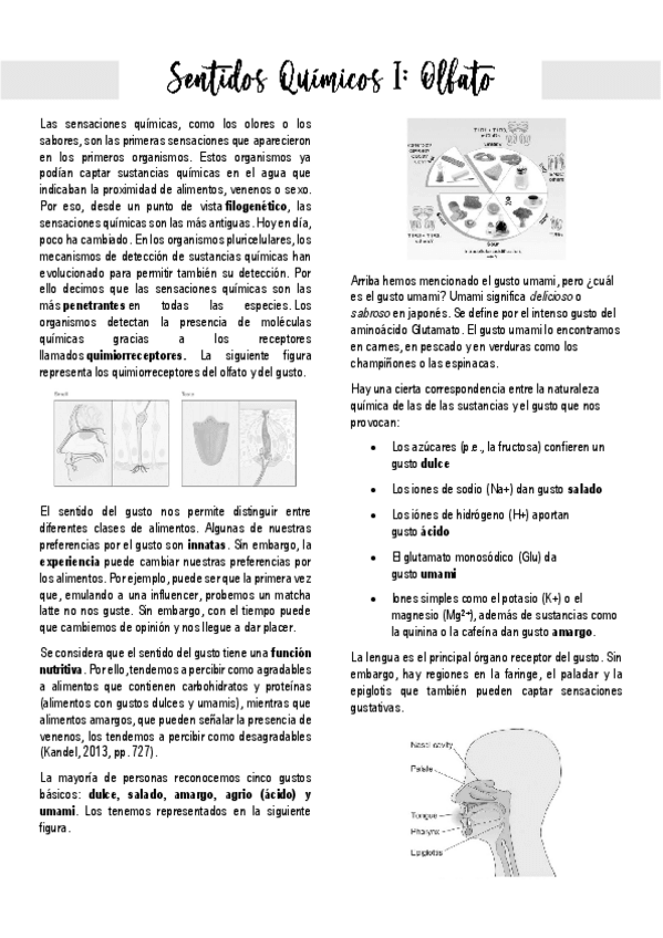 Miniatura del documento Las-sensaciones-quimicas.pdf