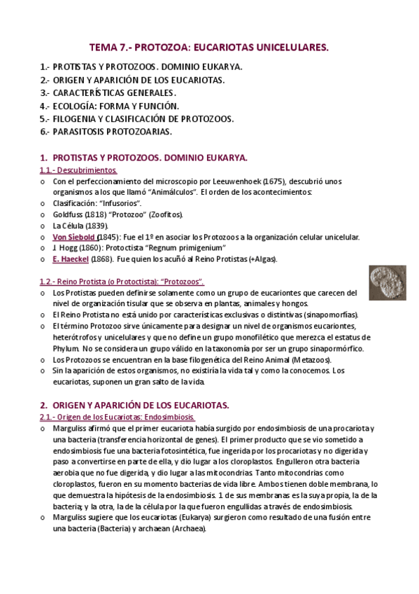 Miniatura del documento APUNTES-T.pdf