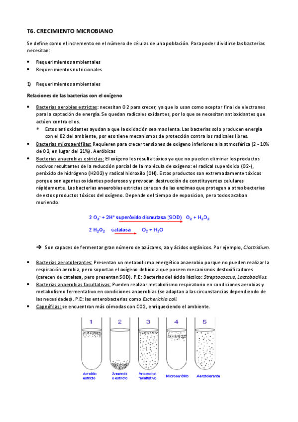 Miniatura del documento TEMA-6.pdf