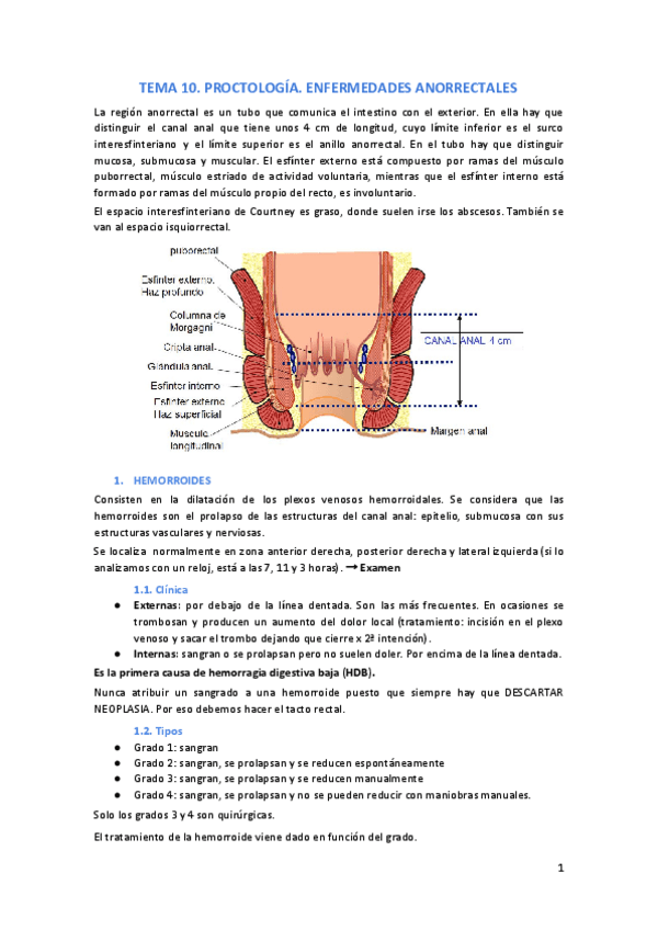 Miniatura del documento Tema-10.pdf