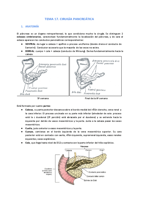 Miniatura del documento Tema-17.pdf