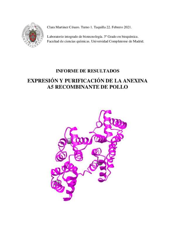 Miniatura del documento Informe-LBIOTEC.pdf