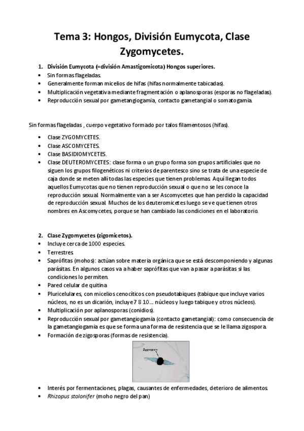 Miniatura del documento tema-3.pdf