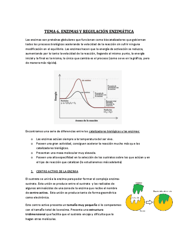 Miniatura del documento TEMA-6.pdf