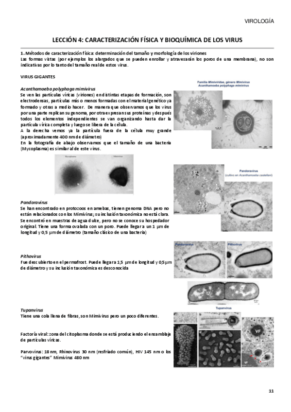 Miniatura del documento TEMA-4.pdf