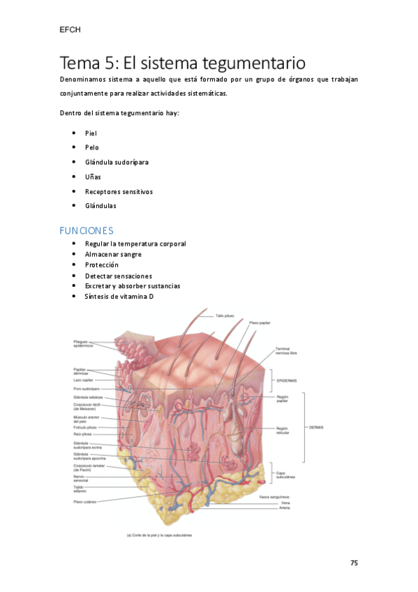 Miniatura del documento tema-5.pdf