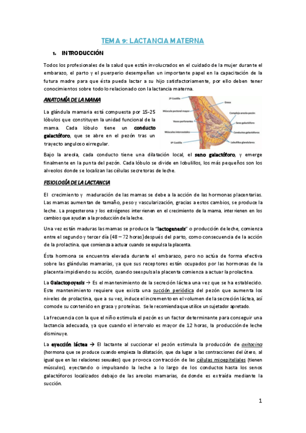 Miniatura del documento Tema-9.pdf