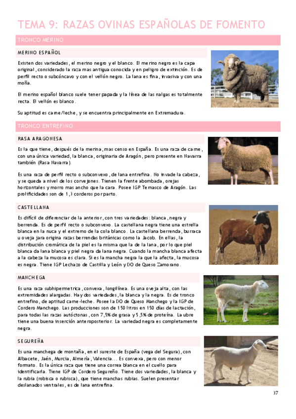 Miniatura del documento Tema-9.pdf