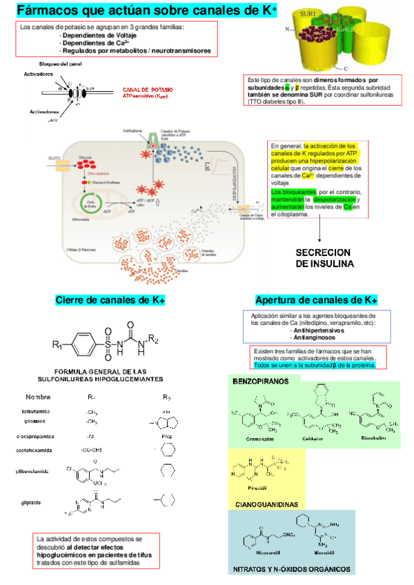 Miniatura del documento Canales-de-K-y-ATPasa-H-K.pdf